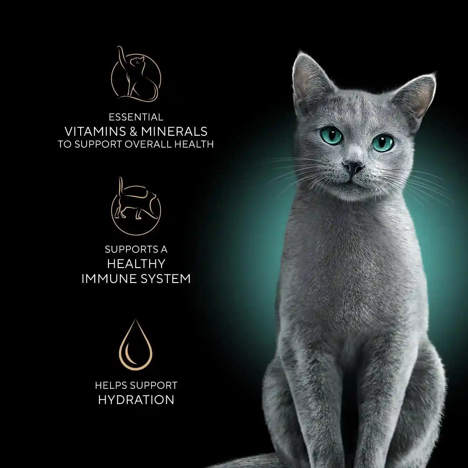 sheba-perfect-portions-cuts-wet-cat-food-sustainable-salmon-2-6-oz-24-ct-grain-free-sustainable-salmon-48-servings-no-fillers-or-artificial-flavors-essential-vitamins-minerals-twin-pack-trays