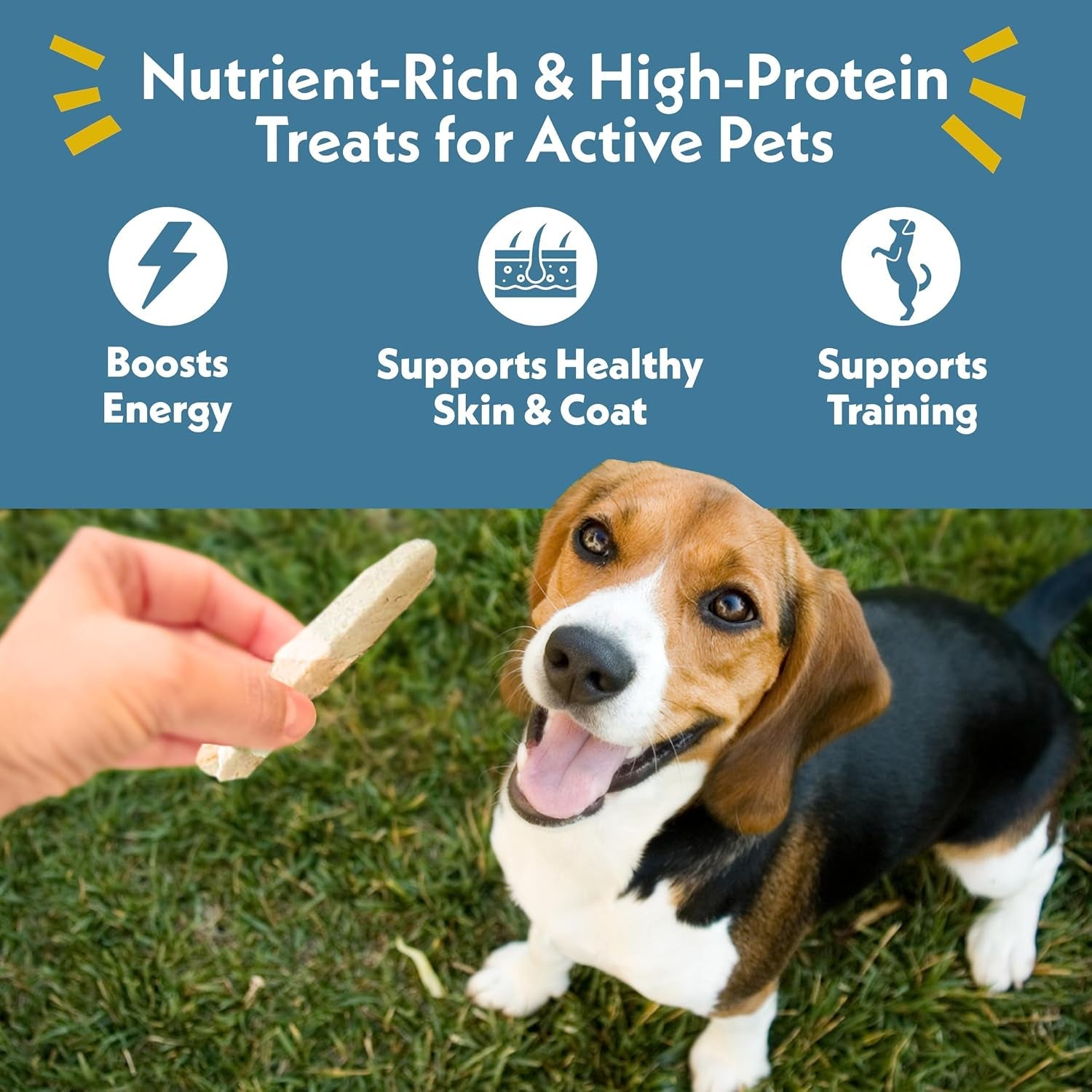fresh-is-best-freeze-dried-dog-treats-raw-freeze-dried-chicken-breast-for-dogs-cats-healthy-dog-training-treats-in-resealable-zipper-bag-high-protein-single-ingredient-made-in-the-usa