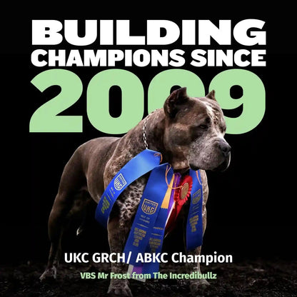 Bully Max Puppy Food 24/14 High Protein & Growth Formula - Dry Dog Food with Lamb and Rice for Small and Large Breed Puppies - Chicken Free, 419 Cal/Cup, Sensitive Stomach Kibble, 5 Lb Bag9