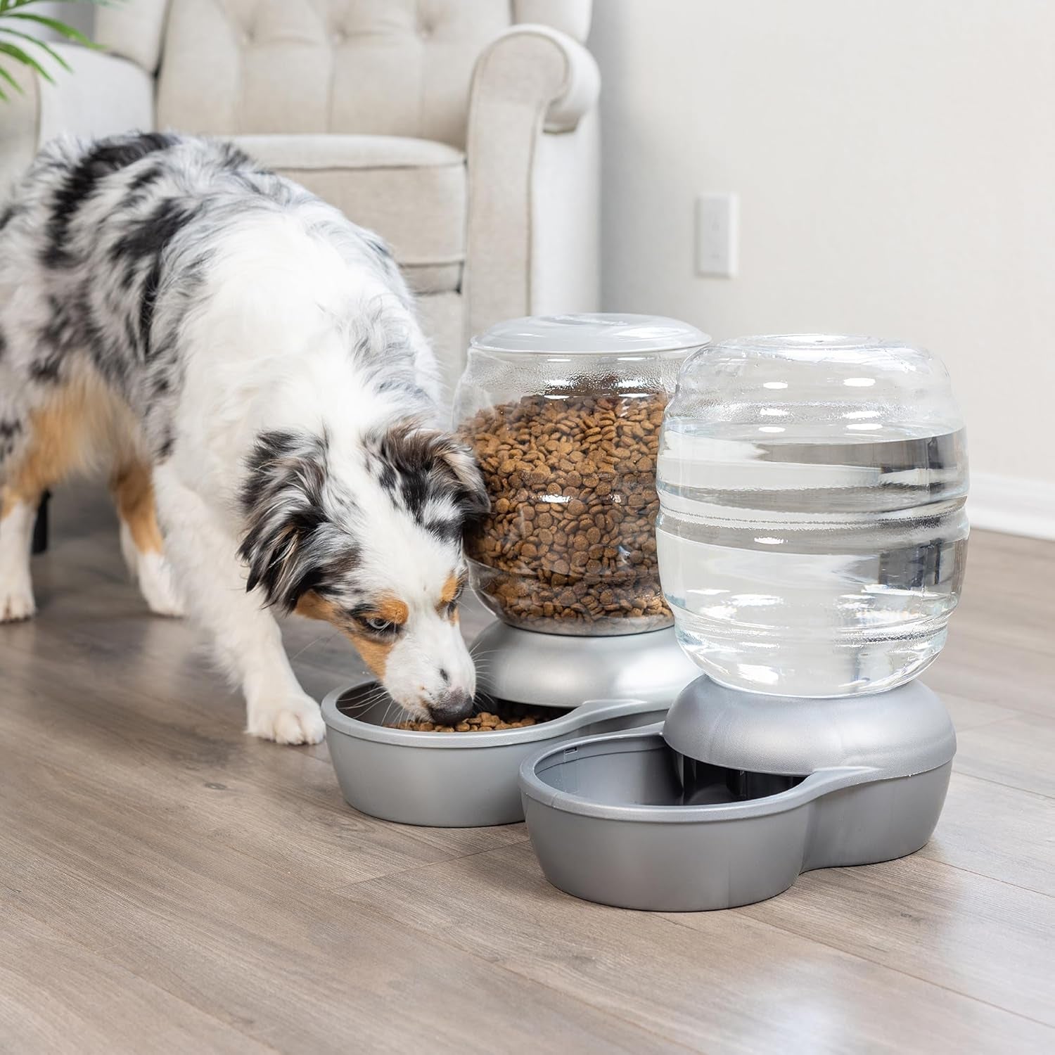petmate-replendish-feeder-automatic-cat-and-dog-feeder-pearl-peacock-blue-10-lb-made-in-usa