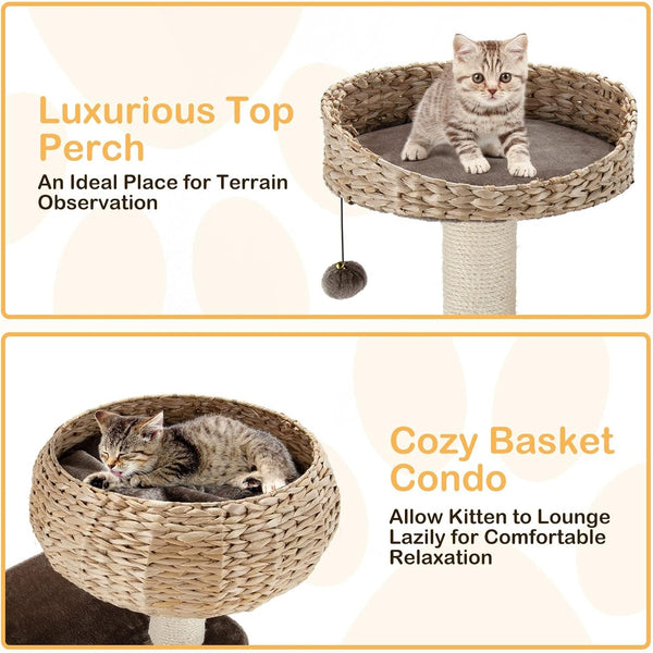 PETSITE 41 Inch Modern Cat Tree for Indoor Cats, Multi-Level Cat Tower with Scratching Posts, Hand-Made Wicker Cat Condo & Top Perch, Dangling Ball, Sisal Rope, Cute Cat Tree for Indoor Cats3