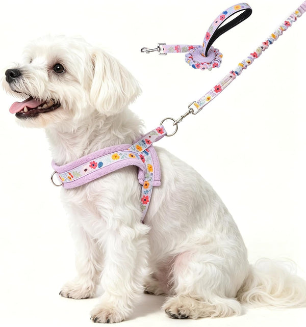BEAUTYZOO Dog Harness No Pull, Quick Fit Dog Harness and Leash Set, Escape Proof Vest Harness with Soft Handle, Reflective Breathable Mesh Padding Harness for Medium Size Dog Training Walking, Beige M29