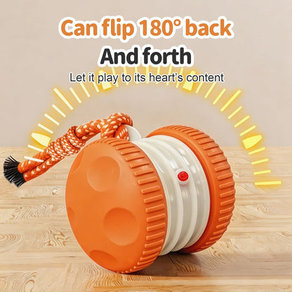 Interactive Dog Toys, Automatic Rolling Ball with Rope, Orange | Motion-Activated Play, Random Path Electric Dog Ball, Bird Sounds, Mental Stimulation for Boredom Relief5