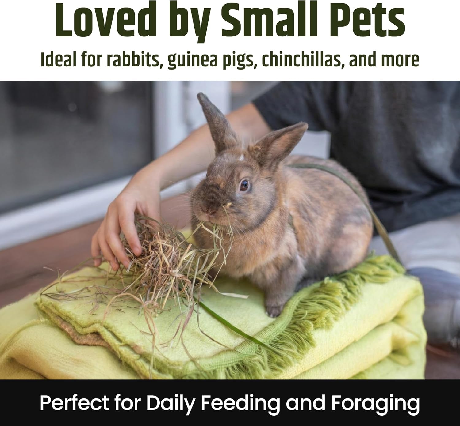 high-desert-2nd-cutting-timothy-hay-for-rabbits-guinea-pigs-4-lb-soft-leafy-texture-with-balanced-fiber-supports-healthy-digestion-great-for-chinchillas-hand-packed-in-the-usa-low-dust