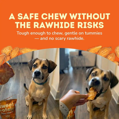 Davie'S Sweet Potato Dog Treats - Healthy, Natural Dog Chews, Low Fat, 1 Lb. Bag2