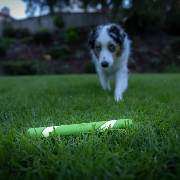 Chuckit! Max Glow Ultra Fetch Stick Outdoor Dog Toy, 12 Inches, for All Breed Sizes5