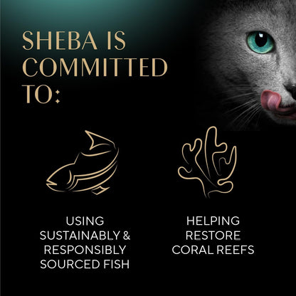 Sheba Selections Wet Cat Food Complement, Chicken & Tuna, 1.3 Oz, 12 Ct | Grain-Free, Real Chicken #1 Ingredient, No Artificial Flavors, Peel & Serve, Food Topper or Treat, 1.3 Oz. Cups, Adult Food8