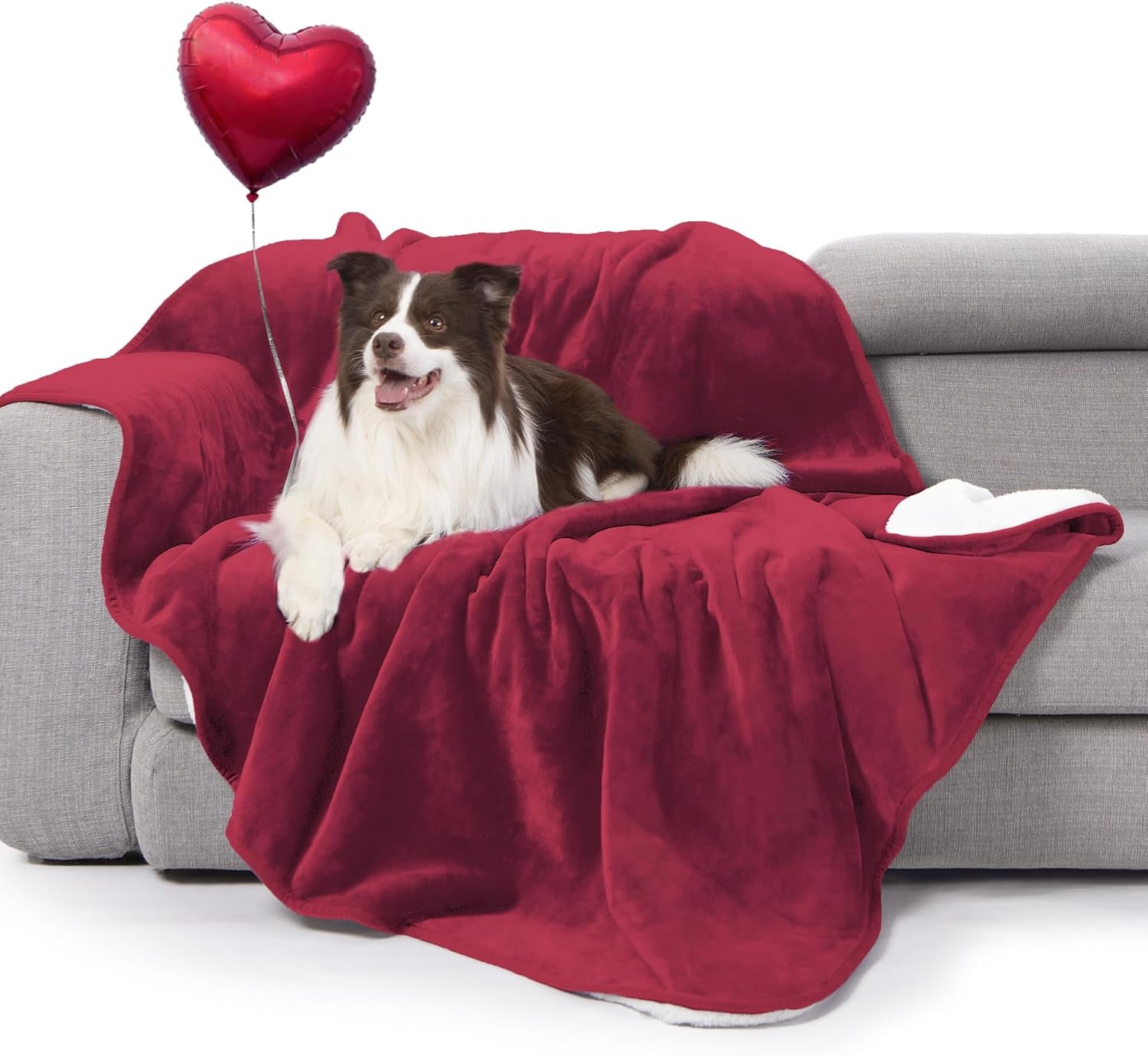 gogobunny-waterproof-bed-blanket-reversible-sherpa-fleece-throw-blanket-for-dog-puppy-cat-furniture-cover-protects-bed-couch-sofa-from-liquid-pee-and-pet-fur-dark-purple-50x60-inches