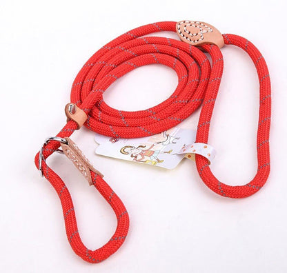Dog Rope Leash, 5 FT Pet Slip Lead, Dog Training Leash for 10-80 Lb | Standard Adjustable Pet Nylon Leash for Small Medium Dogs Walking(Blue)12