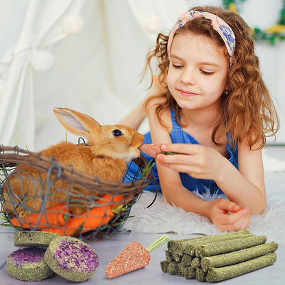 KATUMO Timothy Hay Sticks, Rabbit Chew Sticks Bunny Chew Toys for Teeth | 24Pcs, Healthy Rabbit Food, Rabbit Chew Toys for Teeth, Suitable for Rabbits, Guinea Pigs Hamster Chinchilla and Small Pets4