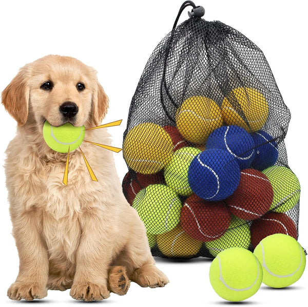 Magicorange Dog Tennis Balls, 20 Pack 2.5 Inch Squeaky Tennis Balls | Floatable Squeaky Dog Balls for All Breed Dogs,Natural Rubber,Colorful Easy Catching Multicolor,With Mesh Bag1