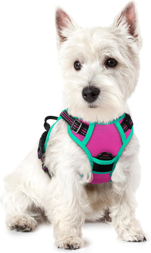 Rabbitgoo Dog Harness, No Pull for Large Dogs with 2 Leash Clips, Pet Vest | No Choke with Handle, Adjustable Soft Padded, Reflective, Easy Control for Walking, Black, Large75