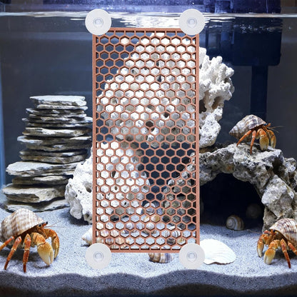 Hermit Crab Climbing Toy, Reptile Habitat Decor Exercise Playground Hermit Crab Accessories for Tank and Aquarium Decoration (Brown)4
