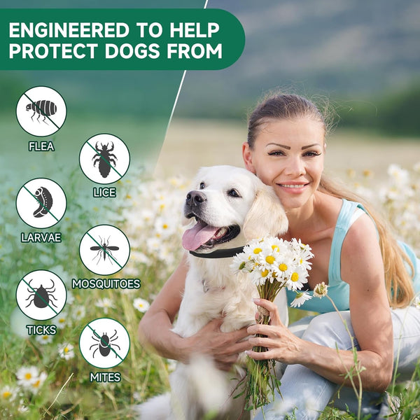 Woyamay 4 Pack Flea Collar for Dogs, Flea and Tick Prevention for Dogs | 32 Months Dog Flea and Tick Treatment, Adjustable Dog Flea Collars, Dog Flea Treatment Collar, Flea Treatment for Dogs2