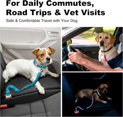 Dog Seat Belt for Car, Car Harness with Locking Aluminum Hook | Adjustable Reflective Nylon Seatbelt with Elastic Bungee, Travel Safety Restraint, for Small Medium Large Dogs, Light Blue8