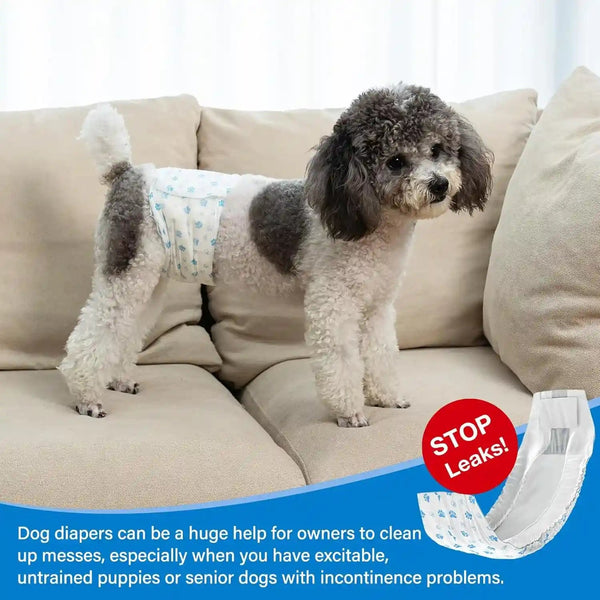 Pet Soft Disposable Male Wrap Dog Diaper,12Pcs,Xs7