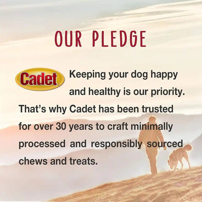 Cadet Gourmet Sweet Potato Steak Fries Dog Treats, 1 Lb | 100% Real Sweet Potato, Healthy Natural Chewy Dog Treats, Single Ingredient, Dog Training Treats, for Small & Large Dogs8