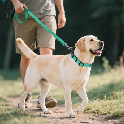 Joytale Reflective Dog Collar, Adjustable Neoprene Padded, Teal L | Breathable Nylon for Large Dogs, No Chafing on Walks and Outdoor Hikes, Tear-Resistant Webbing, Metal D-Ring, Night Safety6