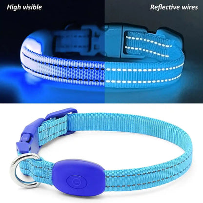 Light up Dog Collar for Small Dogs& Cats, Reflective LED Dog Collar Rechargeable Glowing Puppy Collar Safety Dog Lights for Night Walking (Royal Blue)2