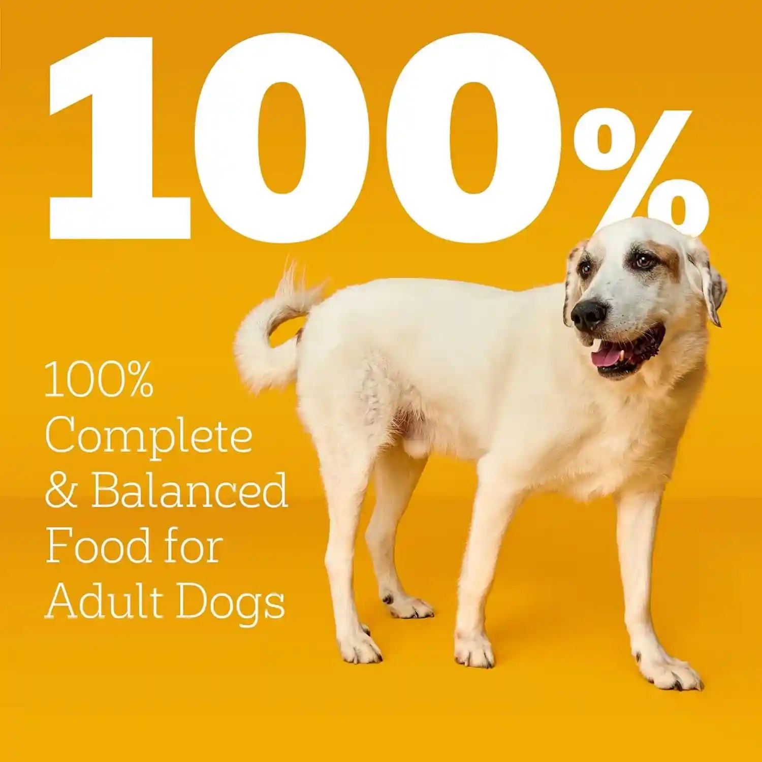 pedigree-large-breed-adult-dry-dog-food-roasted-chicken-vegetable-16-lb-36-vitamins-minerals-amino-acids-prebiotic-fiber-supports-lean-muscle-immune-health-natural-flavors-only