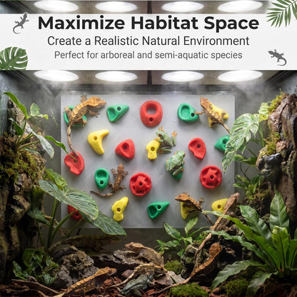 2-Pack Climbing Wall for Reptiles, Terrarium Habitat Decor | 2PCS Climbing Wall for Reptiles for Bearded Dragons, Leopard Geckos, Habitat Decor & Enrichment6