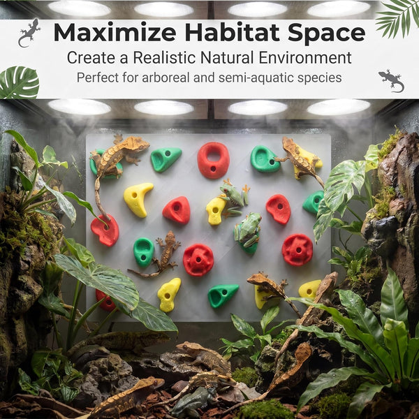 2-Pack Climbing Wall for Reptiles, Terrarium Habitat Decor | 2PCS Climbing Wall for Reptiles for Bearded Dragons, Leopard Geckos, Habitat Decor & Enrichment6