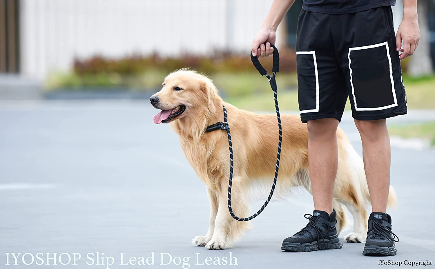 iyoshop-durable-slip-lead-dog-leash-with-padded-handle-and-highly-reflective-threads-no-pull-dog-training-leash-1-2-x-6-ft-black