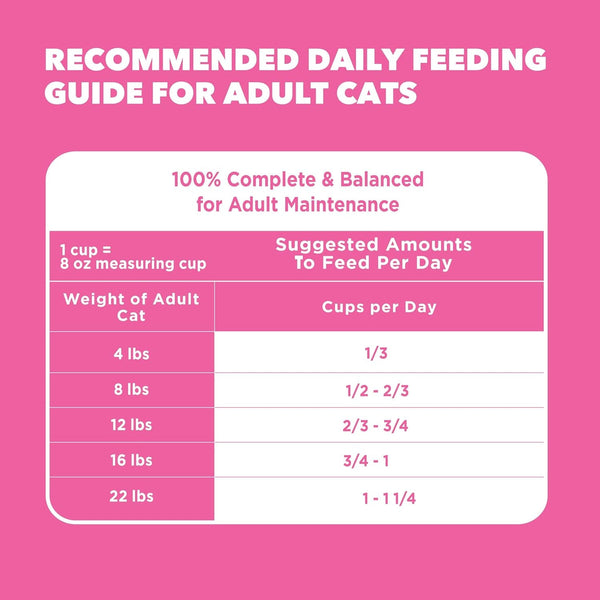 IAMS Proactive Health Sensitive Digestion Dry Cat Food, Turkey, 13 Lb | Veterinarian-Recommended, Real Turkey #1 Ingredient, Prebiotics & Fiber Blend, Omega 6 & 3 for Coat Shine9