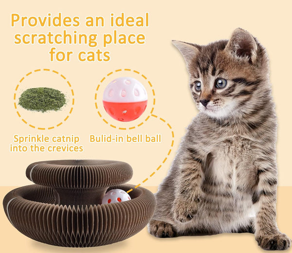 Magic Organ Cat Scratching Board & Accordion Toy - Cat Butler Snuffle Paw Cardboard Slinky6