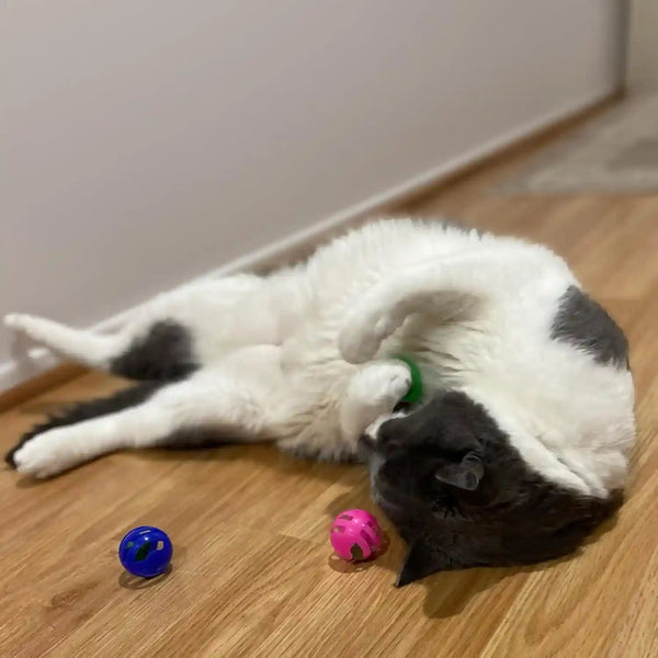 SPOT Slotted Balls Cat Toy - Interactive Cat Toys for Indoor Cats to Chase, Hunt and Stimulate - Jingle Bell inside for Sound When Batted around - Safe and Non-Toxic - 1.5" Assorted 4-Pack7