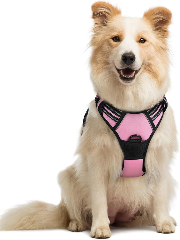 Rabbitgoo Dog Harness, No Pull for Large Dogs with 2 Leash Clips, Pet Vest | No Choke with Handle, Adjustable Soft Padded, Reflective, Easy Control for Walking, Black, Large138