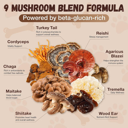 Turkey Tail Mushroom for Dogs with Probiotics - Mushroom Supplement for Dogs Lumps and Bumps, Reishi, Lion'S Mane - Immune Boost, Gut Health, Lipoma, Joint & Skin Support Multivitamin, 120 Chews2