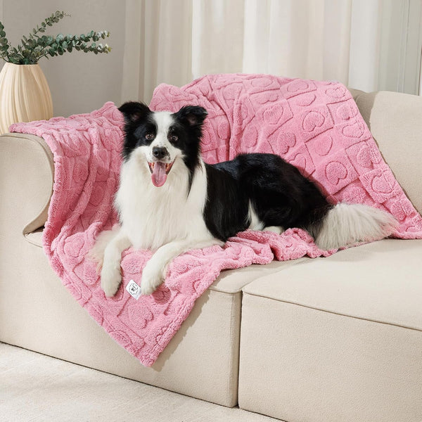 Luciphia Small Dog Blanket Washable Pet Bed Cover Soft Fluffy Puppy Blanket with Premium Fleece 300GSM Cozy Calming Cat Blankets for Indoor Cats Pink 30X20 Inch16
