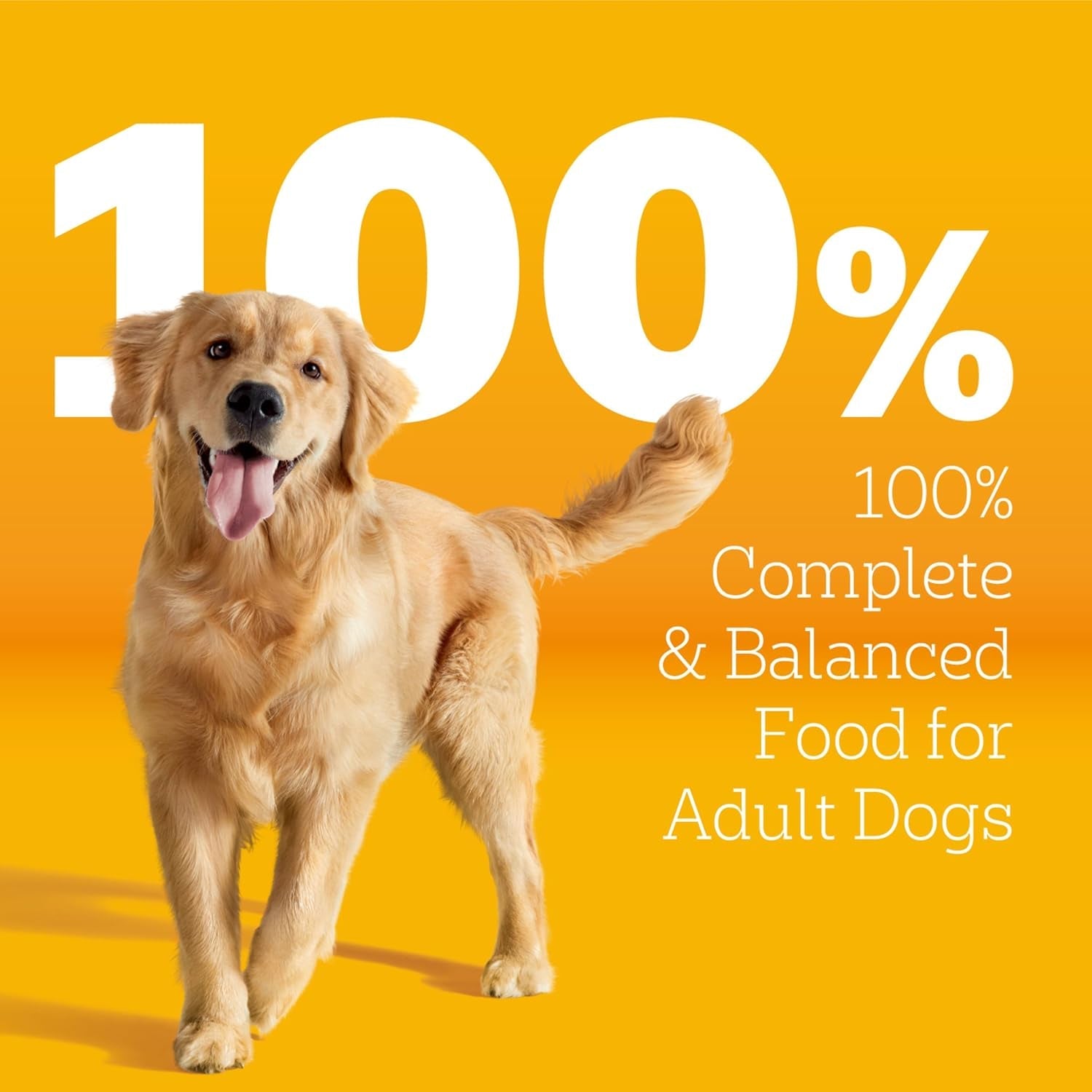 pedigree-tender-bites-dry-dog-food-chicken-steak-14-lb-easy-to-chew-two-textured-kibble-natural-fiber-for-healthy-digestion-36-vitamins-minerals-natural-flavors-only