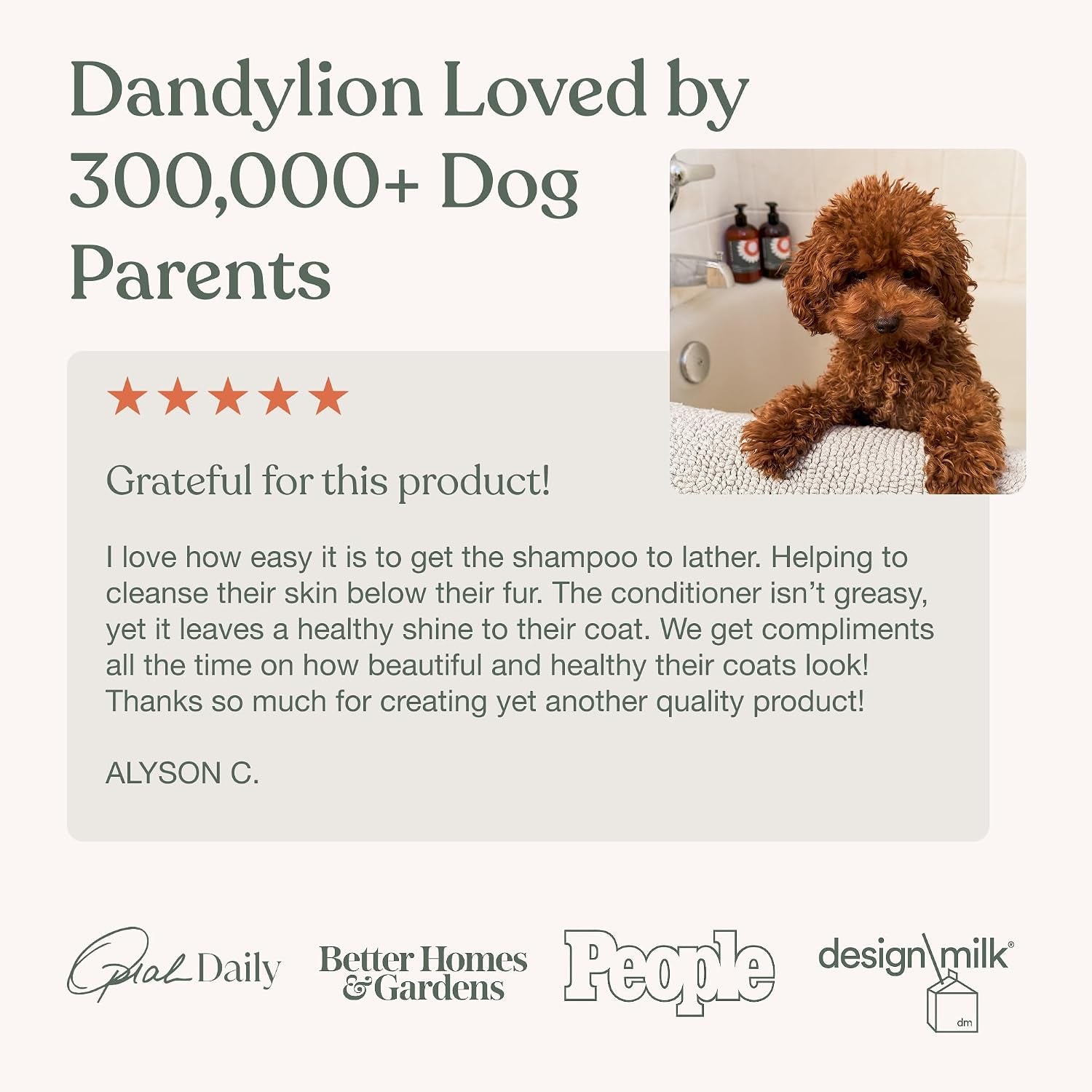 dog-shampoo-soothe-gentle-cleansing-hydrating-sensitive-skin-16-fl-oz-dandylion-pet-shampoo-fragrance-free-ph-balanced-plant-derived-formula-for-dry-coats-and-all-coat-types-dog-bath-supplies
