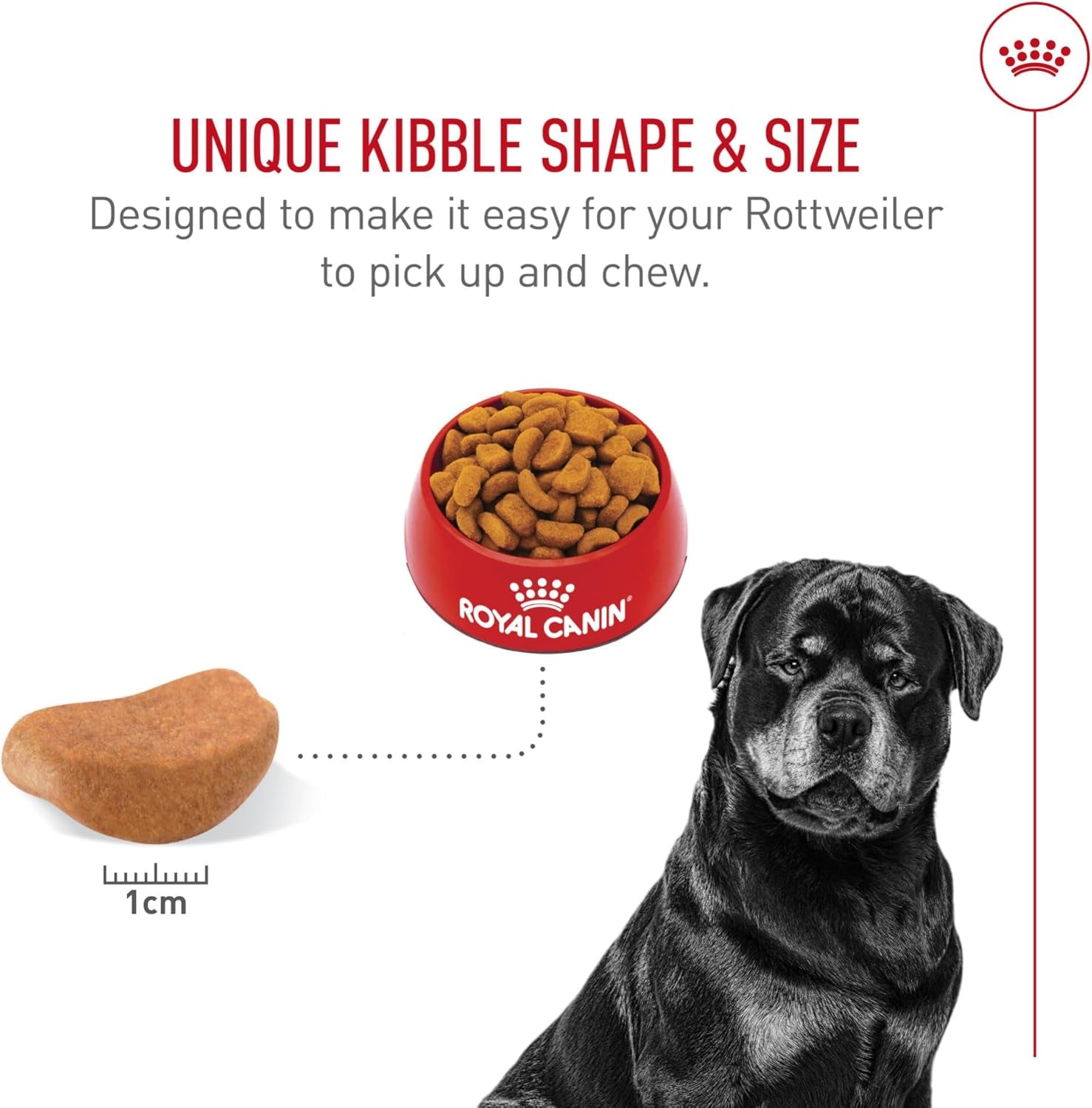 royal-canin-breed-health-nutrition-rottweiler-adult-dry-dog-food-30-lb-bag