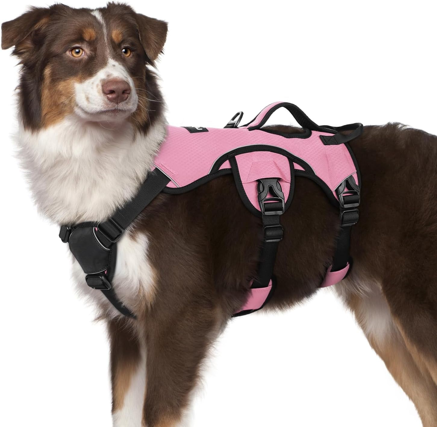rabbitgoo-escape-proof-dog-harness-for-large-no-pull-with-lift-handle-no-escape-full-soft-padded-reflective-adjustable-vest-leash-clip-for-walking-hiking-training-black-large