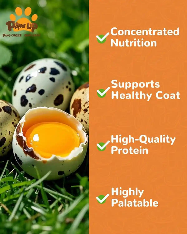 PAWUP Freeze Dried Quail Egg Yolk Pet Treats, Freeze-Dried Pet Food for Dogs, Cats, Pure Fresh Ingredient, 4.2 Oz, Rawhide Free, Gluten&Grain Free4