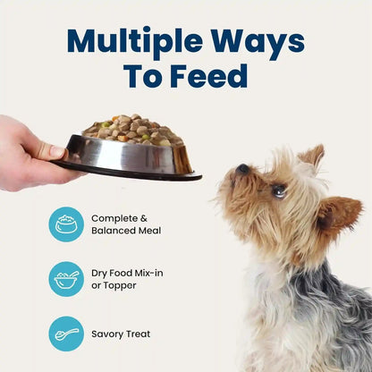Blue Buffalo Delights Variety Pack Natural Grain Free Wet Dog Food for Small Breed Dogs (Filet Mignon Flavor & New York Strip Flavor) in Gravy with Natural Ingredients, 3.5-Oz. Each (12 Cups)8