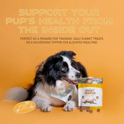 Smart Cookie Healthy Soft Dog Treats - Rabbit & Pumpkin - Grain Free Limited Ingredient Training Treats for Dogs with Sensitive Stomach & Allergies, Natural Novel Protein, Made in the USA (5Oz.)7