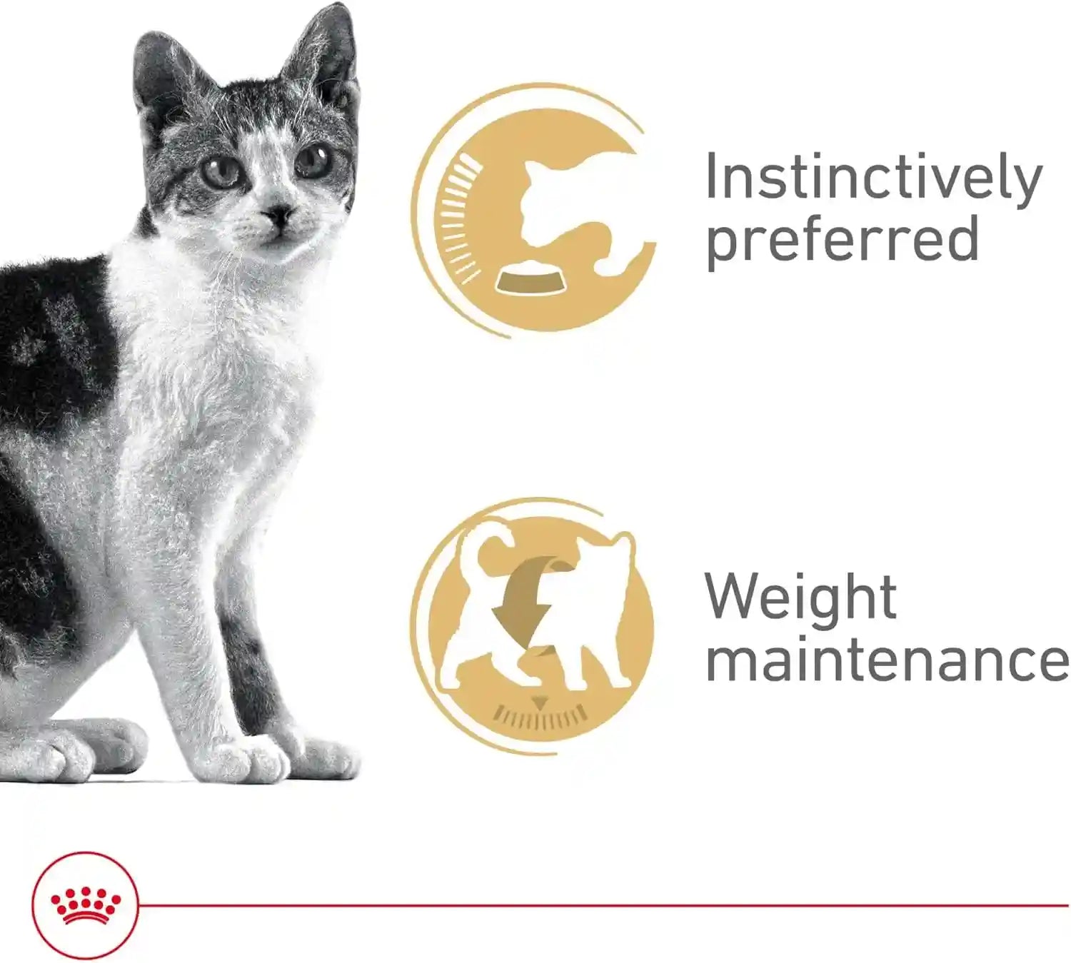 royal-canin-feline-health-nutrition-adult-instinctive-adult-thin-slices-in-gravy-cat-food-3-oz-pack-of-24