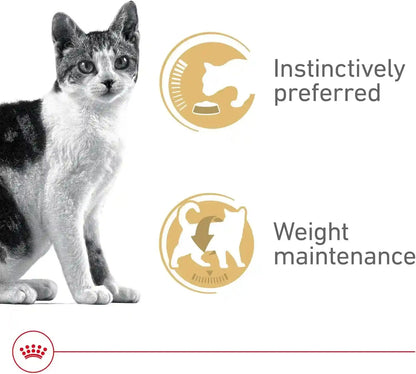 ROYAL CANIN Feline Health Nutrition Adult Instinctive Adult Thin Slices in Gravy Cat Food, 3 Oz (Pack of 24)2