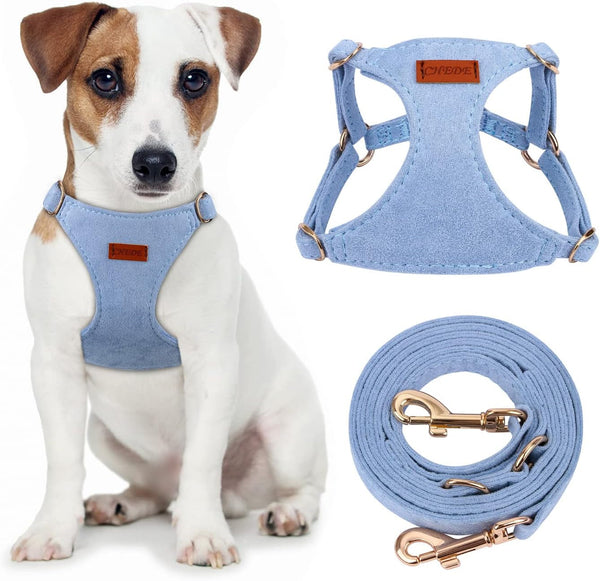 CHEDE No Pull Puppy Harness and Multifunction Dog Leash Set- 8 Colors Soft Adjustable No Choke Escape Proof Cute,Lightweight Pet Vest Harness for Small and Medium Dog…7