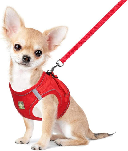 Feimax Dog Harness and Leash Set, No Pull Breathable Soft Mesh Puppy Vest Harness Reflective Adjustable Pet Harnesses for Small Medium Dogs and Cats - Outdoor Easy Control for Walking1