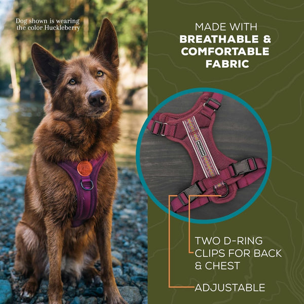 Wilderdog Lightweight Dog Harness with Reflective Straps - Medium - Huckleberry4