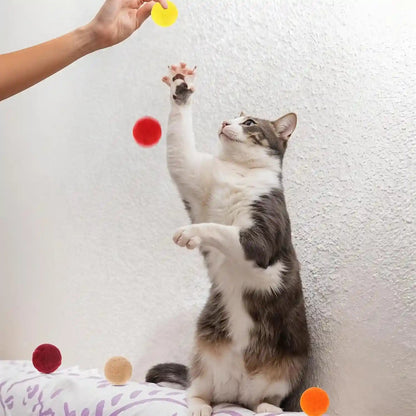 Xthrotsenk 100 Pcs Cat Toy Balls 1-Inch Colorful Cat Pom Pom Balls Soft Interactive Kitten Ball Cats Exercise Toys Fuzzy Kitten Interactive Playing Quiet Toy for Cats Pet(2.5 Cm)2