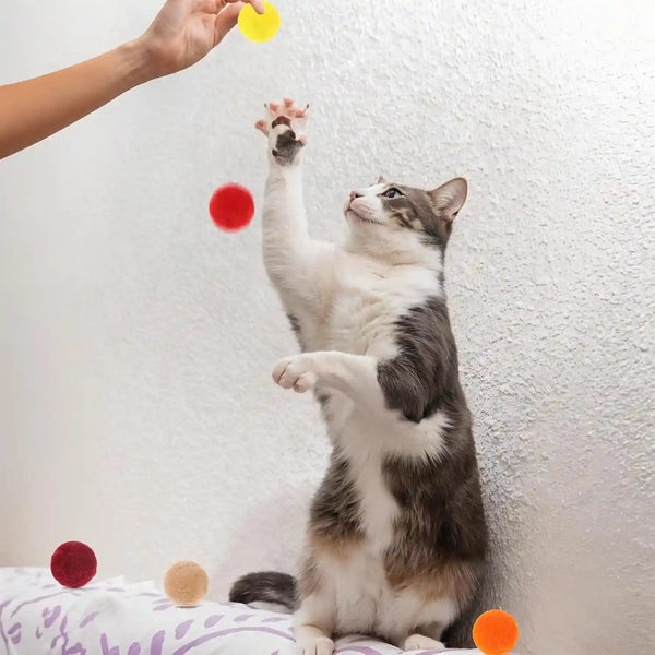 Xthrotsenk 100 Pcs Cat Toy Balls 1-Inch Colorful Cat Pom Pom Balls Soft Interactive Kitten Ball Cats Exercise Toys Fuzzy Kitten Interactive Playing Quiet Toy for Cats Pet(2.5 Cm)2