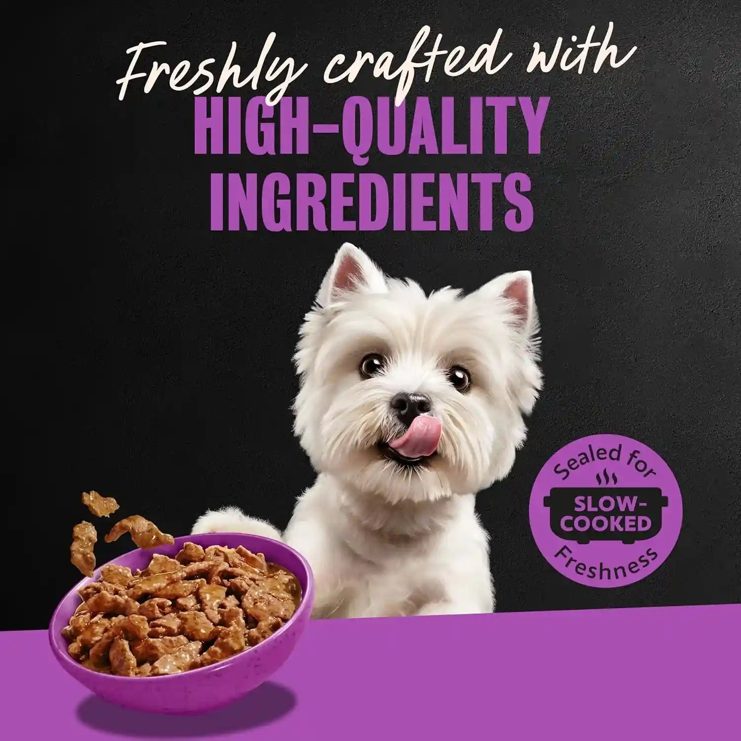 cesar-filets-in-gravy-wet-dog-food-filet-mignon-flavor-3-5-oz-24-count-real-beef-easy-to-digest-no-fillers-no-added-sugar-no-artificial-flavors-slow-cooked-tender-texture-easy-peel-trays
