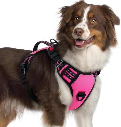 Rabbitgoo Large Dog Harness, Easy Wear with 3 Buckles and Lift Handle | No Pull with Front Clip for Walking, Adjustable Soft Padded, Reflective, Easy Control, Pink, Large29