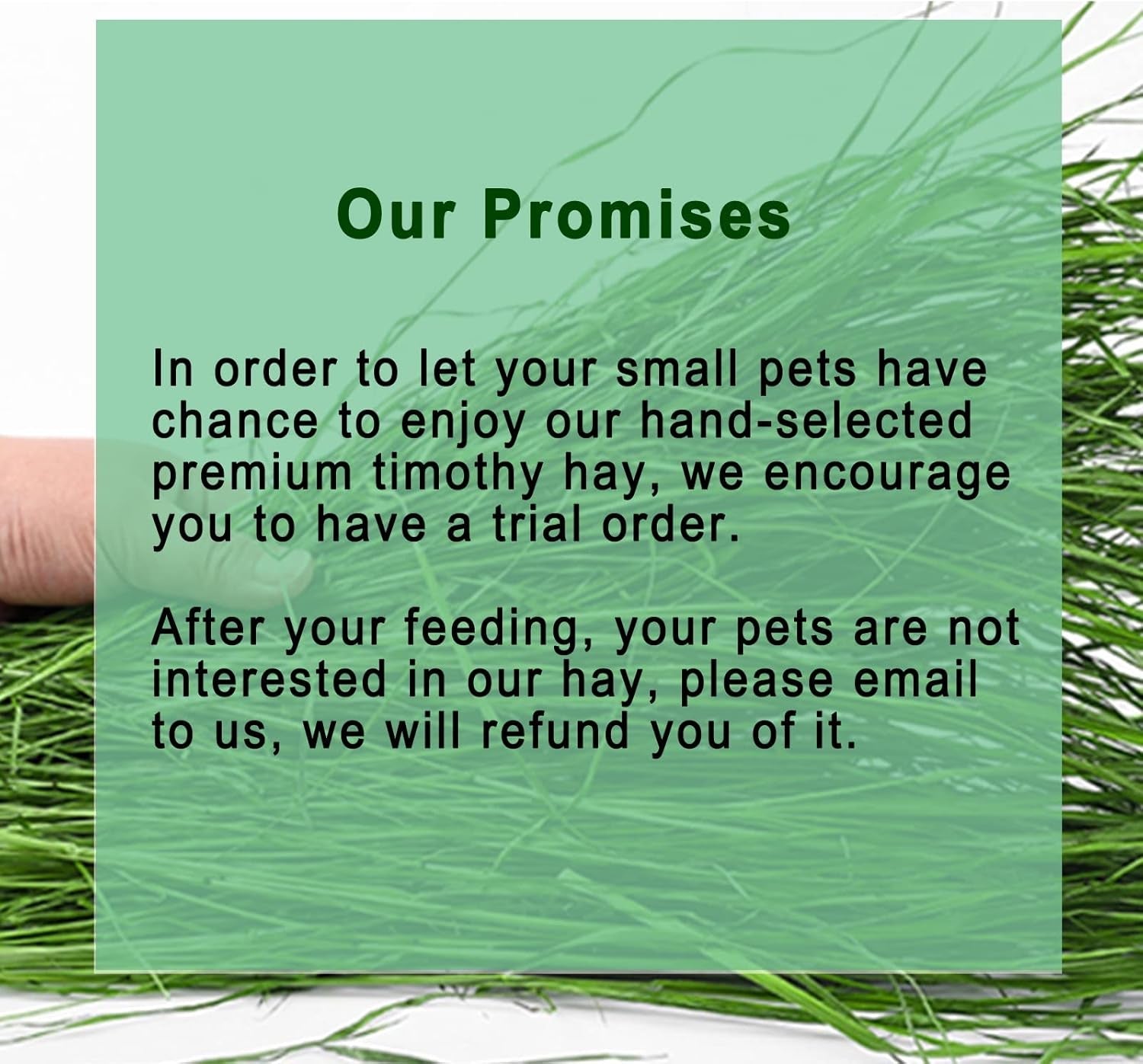 timothy-hay-1-1lb-small-pet-feed-dust-free-natural-fresh-green-hay-suitable-for-rabbits-guinea-pigs-chinchillas-tortoises